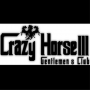 Crazy Horse III